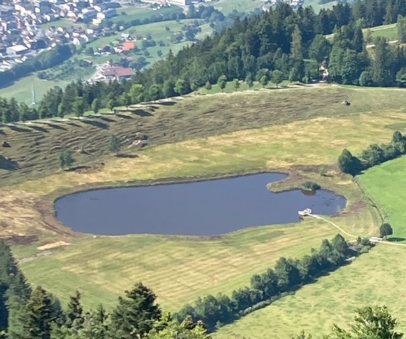 Rauszeit Gletscher Seebodenalp