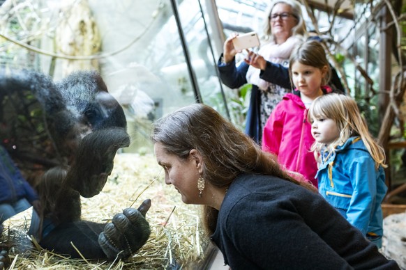 Menschen beobachten die Gorillas im Zoo Zuerich am Samstag, 6. Juni 2020. Der Zoo Zuerich ist ab heute wieder geoeffnet. (KEYSTONE/Alexandra Wey)