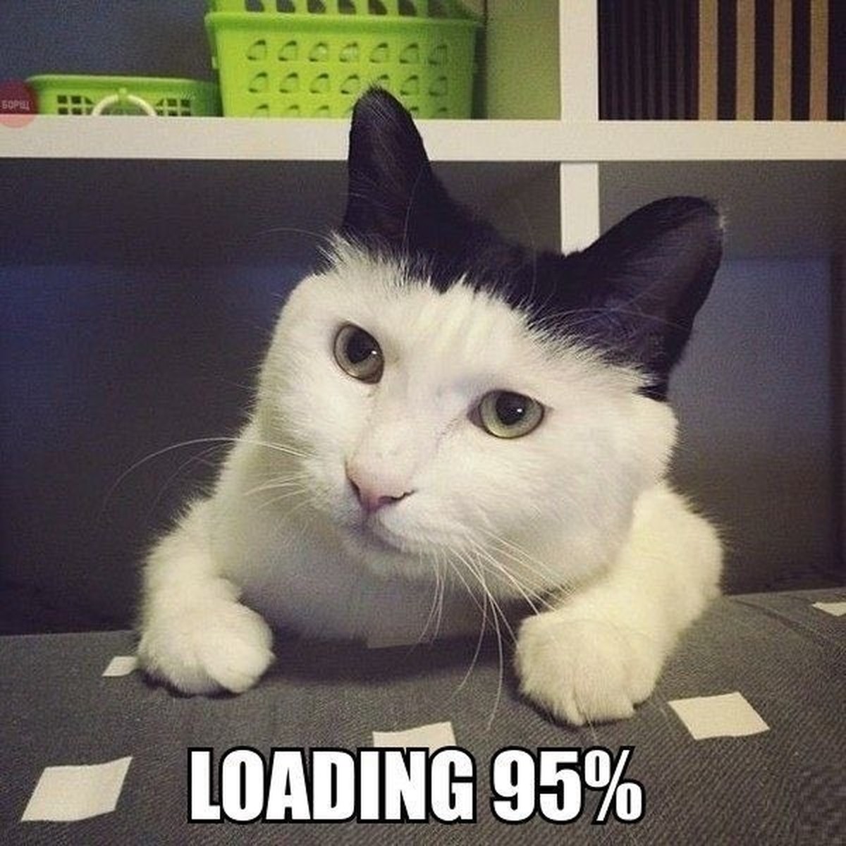 Chargement: 95%.