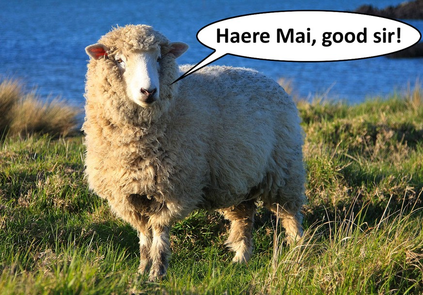 «Haere Mai» ist Maori für «Willkommen».