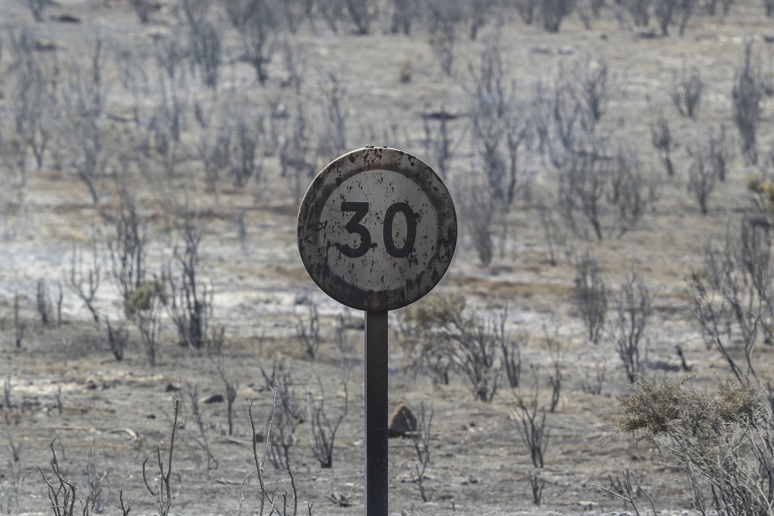 A charred traffic sign after a wildfire near Altura, eastern Spain, on Friday, Aug. 19, 2022. Up to early August, 43 large wildfires �?? those affecting at least 500 hectares (1,235 acres) �?? were re ...