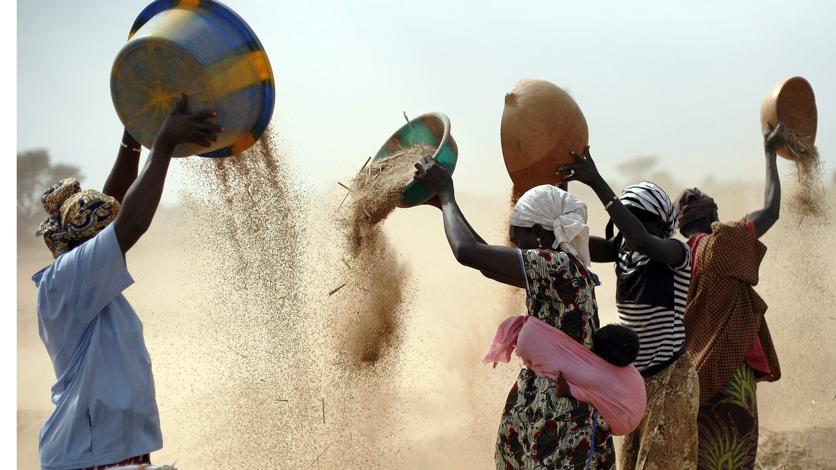FILE- Malian women sift wheat in a field near Segou, central Mali, Jan. 22, 2013. In 2022, Families across Africa are paying about 45% more for wheat flour as Russia's war in Ukraine blocks expor ...