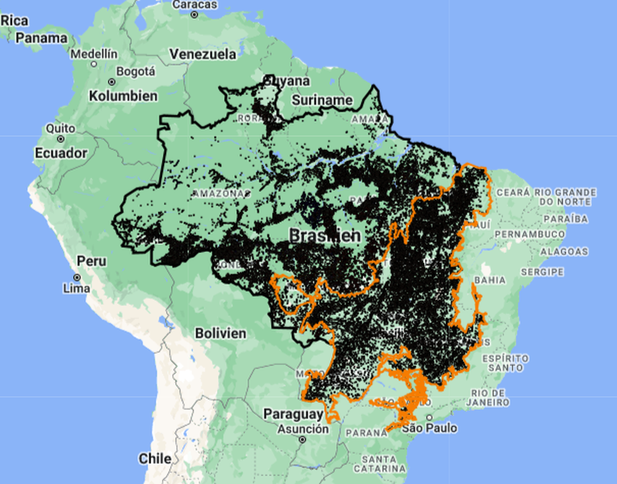 Brasilien Deforestation