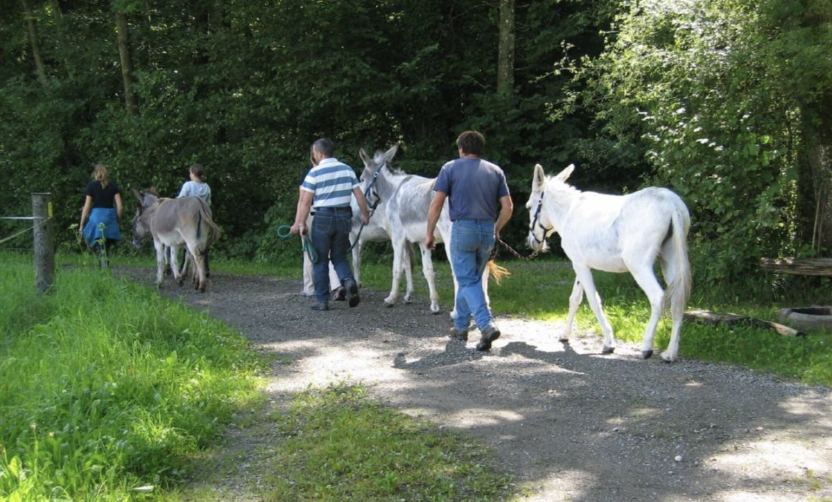 Rauszeit Ferien auf dem Bauernhof Schweiz Eschenz