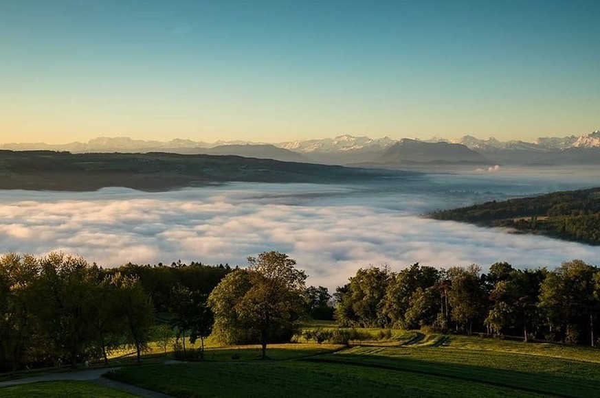 Homberg bei Reinach Rauszeit Kurze Nebelwanderung