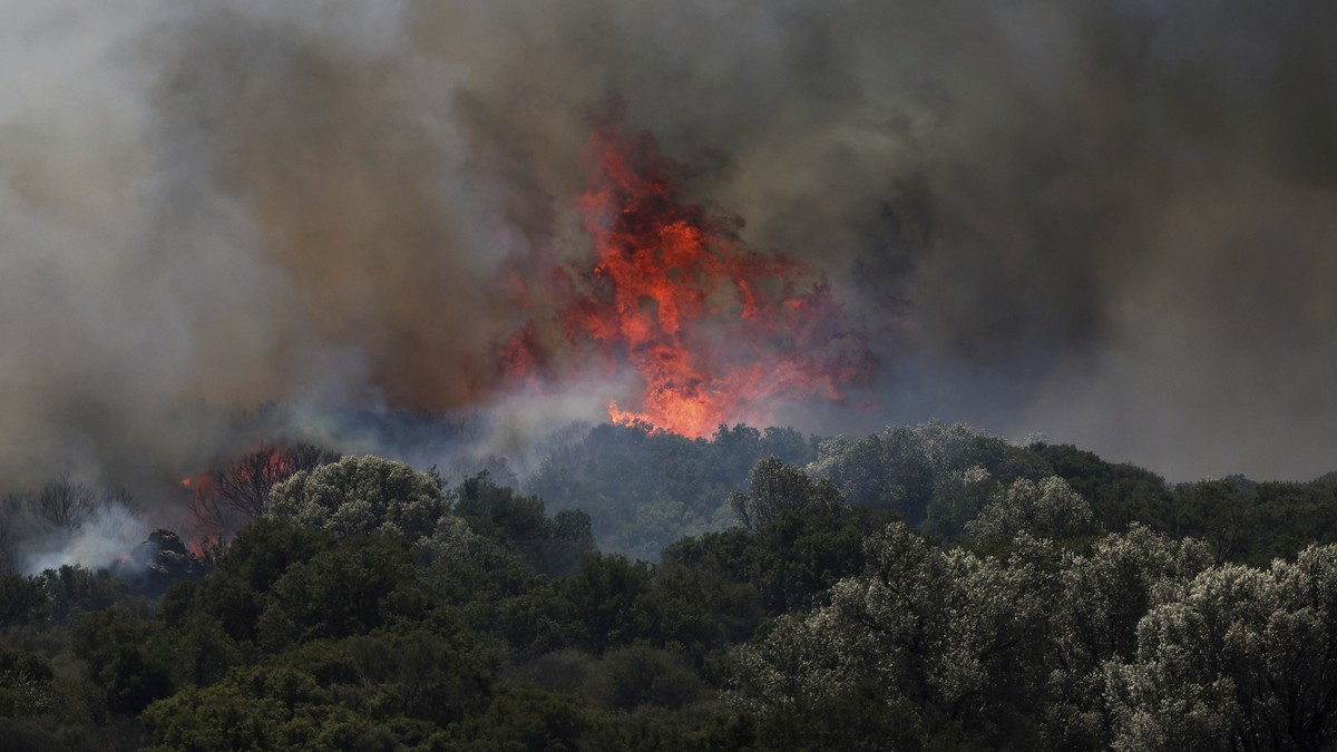 A fire rages across a forest area in Cesme, near Izmir, Turkey, Thursday, July 3, 2025. (Cengiz Malgir/Dia Photo via AP)
Turkey Wildfire