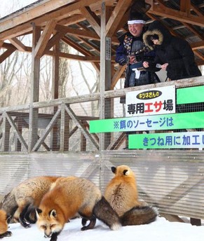 Dann gibt es auch ein Leckerli.