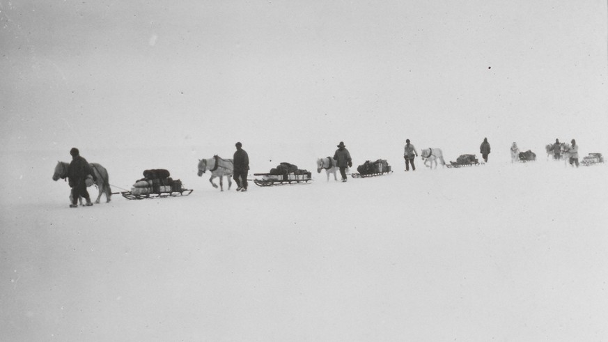 This image made available by the Scott Polar Research Institute on Monday March 31, 2014 shows team members of Captain Scott&#039;s Antarctic expedition as they lead their ponies on the Great Ice Barr ...