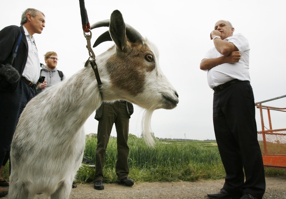 SVP Praesident Ueli Maurer, referiert im Beisein von Maskottchen "Zottel", anlaesslich der Praesentation der neuen Feldwerbung der SVP, am Freitag, 4. Mai 2007, in Hoeri, Kanton Zuerich. (KE ...
