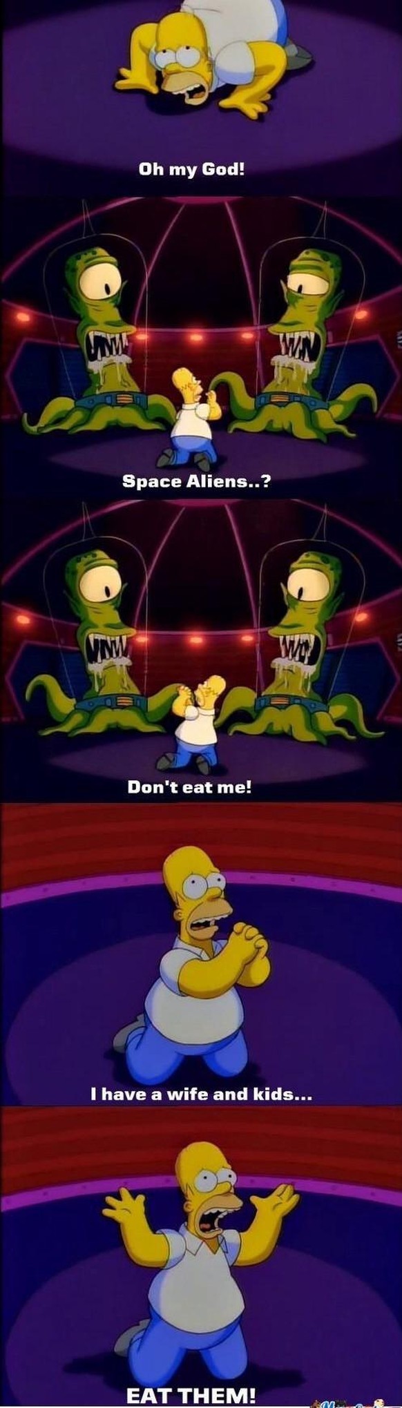 die simpsons homer