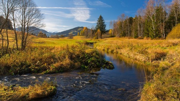 Gewässerperlen Schweiz WWF Rauszeit Biber Rothenthurm Hochmoor