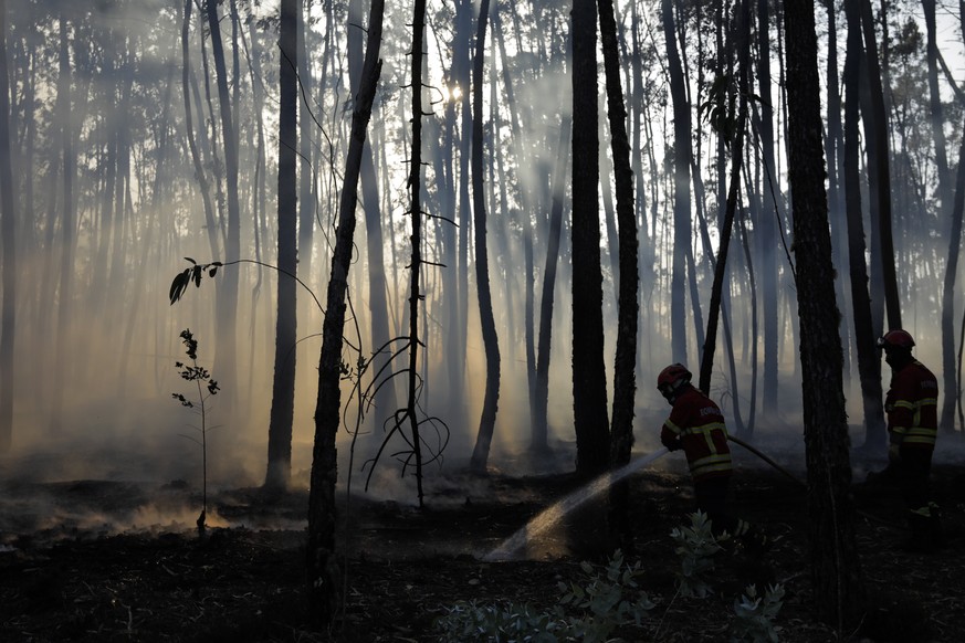 epa10064268 Firefighters battle a fire in Cruzinha, Alvaiazere, Portugal, 10 July 2022. The fire that has been burning in forest stands since 07 July in Cumeada, Ourem, remains active and has already  ...