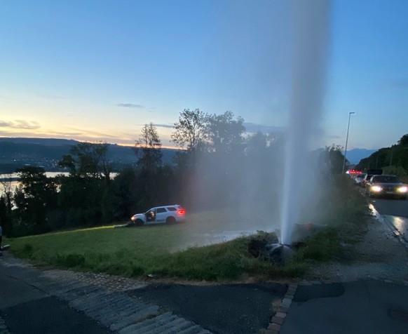 Autofahrer kracht bei Beinwil am See in Hydranten – tot