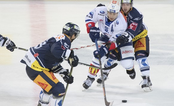 Inti Pestoni, Mitte, vom ZSC im Duell gegen Carl Klingberg, rechts, von Zug im Eishockey Meisterschaftsspiel zwischen dem EV Zug und den ZSC Lions, am Dienstag, 13. September 2016, in Zug. (KEYSTONE/U ...