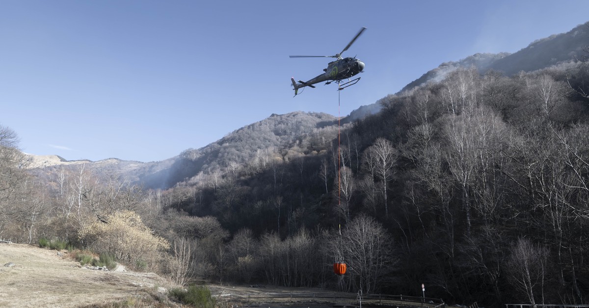 Puschlav GR: Verbrennen von Abfallholz verursacht Waldbrand