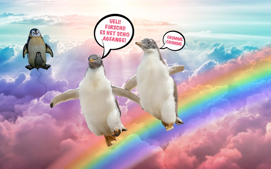 Freude, Glück, Pinguine, fürschi mache.