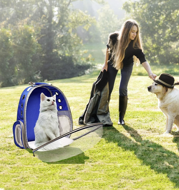 Die lustigsten Fails der Woche: Photoshop-Fail mit Katze