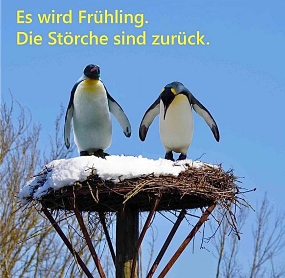 Bis zum Wochenende musst du durchhalten – danach wird es wieder wärmer und schön\nIch eiss nicht was die Leute habe, der Fühling zeit sich doch deutlich!
