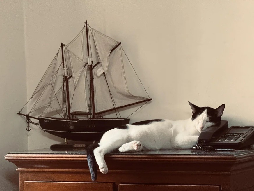 AccidentalRenaissance
His sleeping spot.

https://www.reddit.com/media?url=https%3A%2F%2Fpreview.redd.it%2Fhis-sleeping-spot-v0-3slywwnny7lg1.jpeg%3Fwidth%3D1080%26crop%3Dsmart%26auto%3Dwebp%26s%3D51c ...