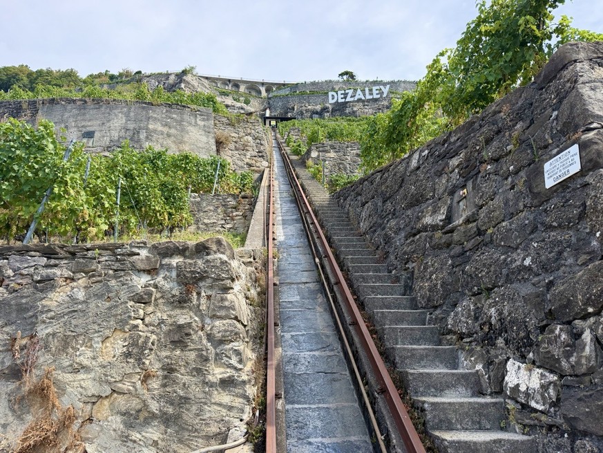Mont Pèlerin Vevey Lavaux Weinterrassen Epesse Dézaley