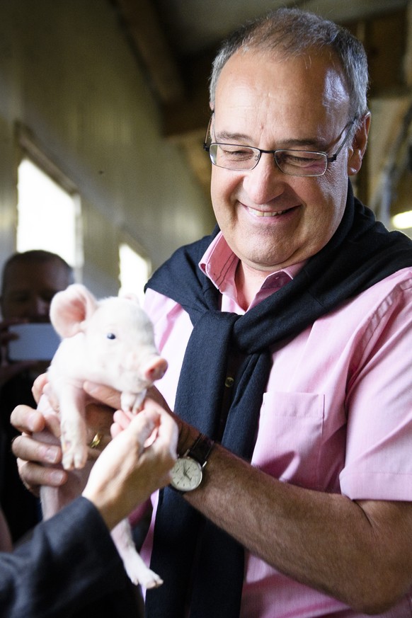 Bundesrat Guy Parmelin mit einem Ferkel im Arm bei der Besichtigung eines Bauernhofes vor dem traditionellen Bauernbrunch bei Bauer Urs Siegenthaler in Muensigen am Nationalfeiertag der Schweiz, fotog ...