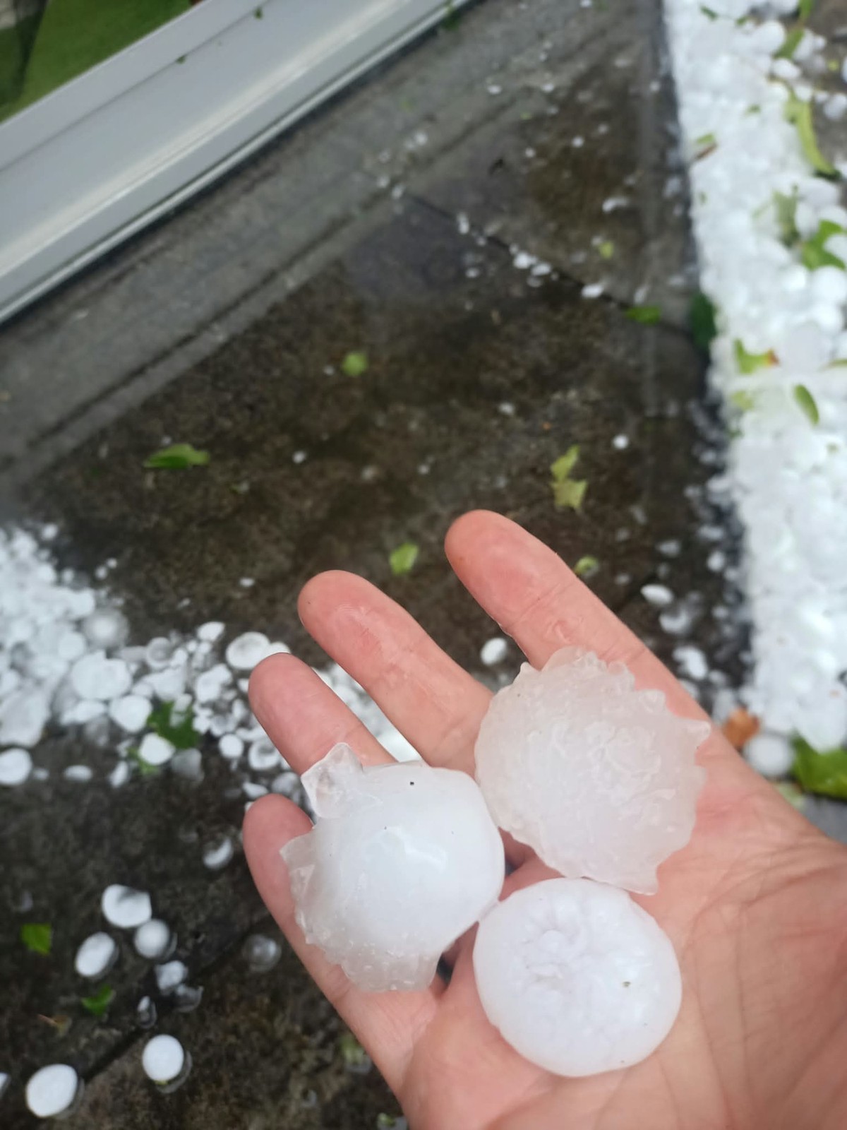 Gewitter 28.8.26