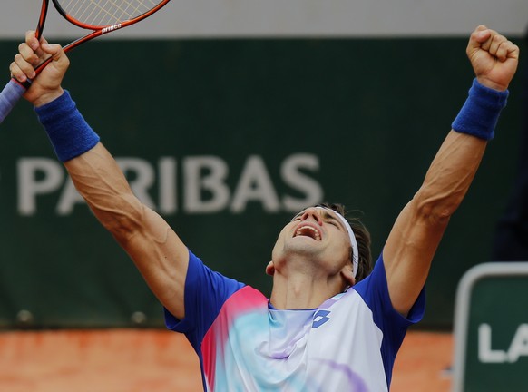 David Ferrer.