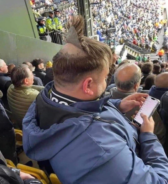 Die lustigsten Fails der Woche