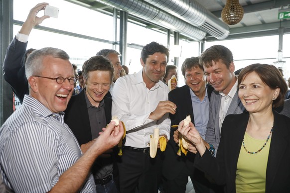 Ruedi Rechsteiner (Alt-Nationalrat), Jonas Fricker (Nationalrat Gruene-AG), Matthias Aebischer (Nationalrat SP-BE), Juerg Grossen (Nationalrat GLP-BE), Pascal Vuichard (Co-Praesident Junge GLP) und Re ...