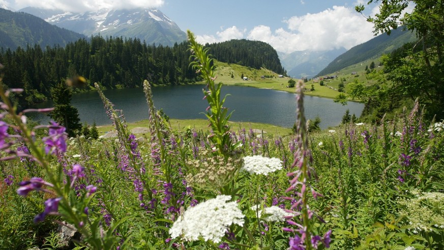 Der Golzernsee im Maderanertal, aufgenommen am Montag, 7. Juli 2003. Am Montag legte der Urner Regierungsrat die Resultate einer Machbakeitssstudie vor, welche die Moeglichkeiten aufzeigen, bestimmte  ...