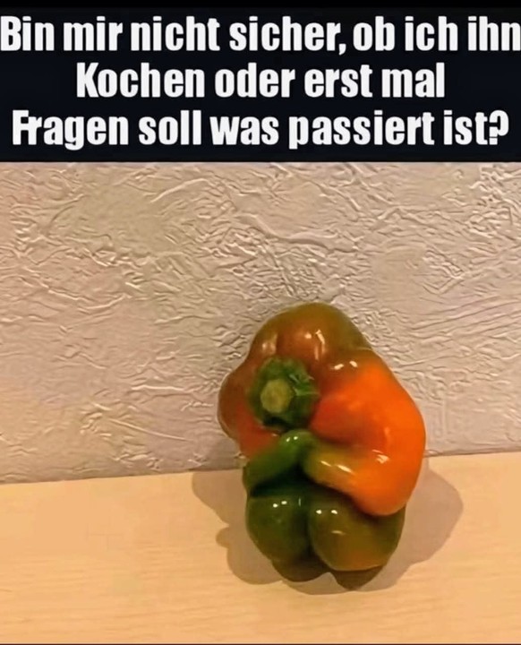Picdump 143 вЂ“ ein gutes Buch, ein Glas Wein und Memes\nрџҐІ
