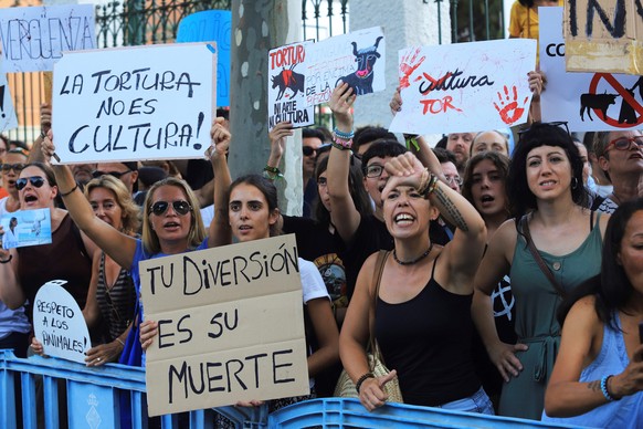 epa07764886 People attend a protest against bullfighting in Palma de Mallorca, Balearic Islands, Spain, 09 August 2019, on occasion of a bullfight held at the Coliseo Balear bullring. EPA/LLITERES
