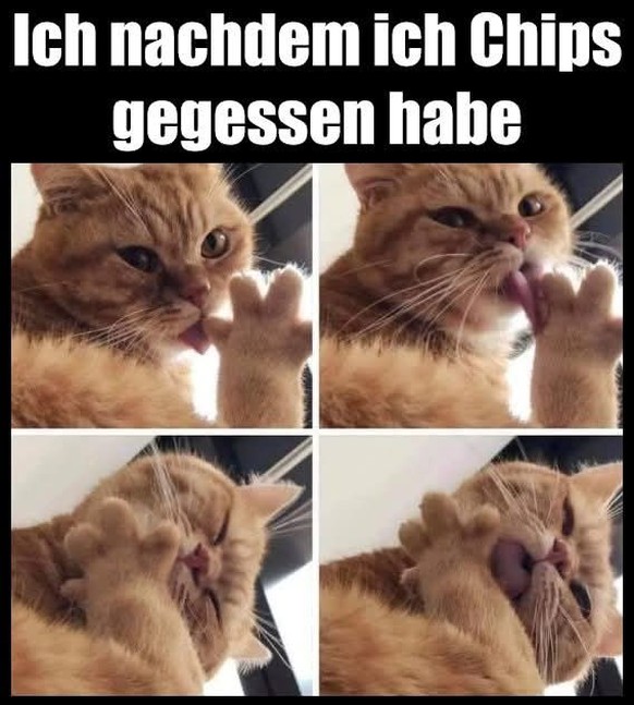 Picdump 151 тАУ MEMES, MEMES, MEMES!\nMjam mjam ЁЯШЛ
