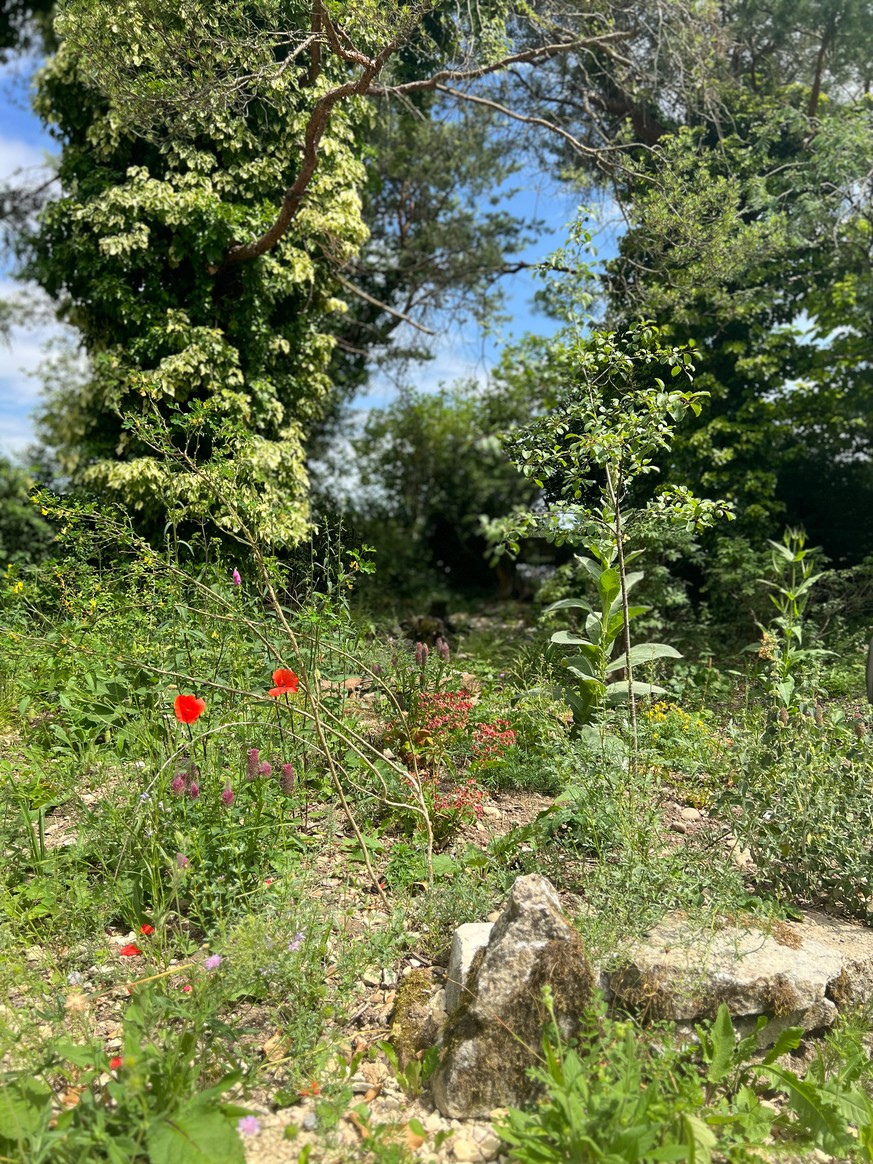 Schaugarten Haselhof