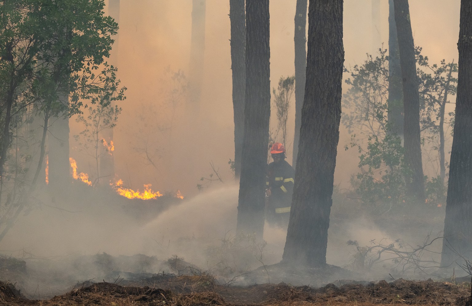 A firefighter sprays water in a burning forest in the Lège-Cap-Ferret region, western France, Friday, July 24, 2026. (AP Photo/Caroline Blumberg)
France Wildfires