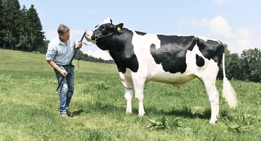 ZU MAZOT DE CREMOT, SIEGERMUNI DES EIDGENOESSISCHEN, STELLEN WIR IHNEN HEUTE, DONNERSTAG, 17. AUGUST 2016, FOLGENDES BILDMATERIAL ZUR VERFUEGUNG --- Farmer Philippe Currat with &quot;Mazot de Cremo& ...