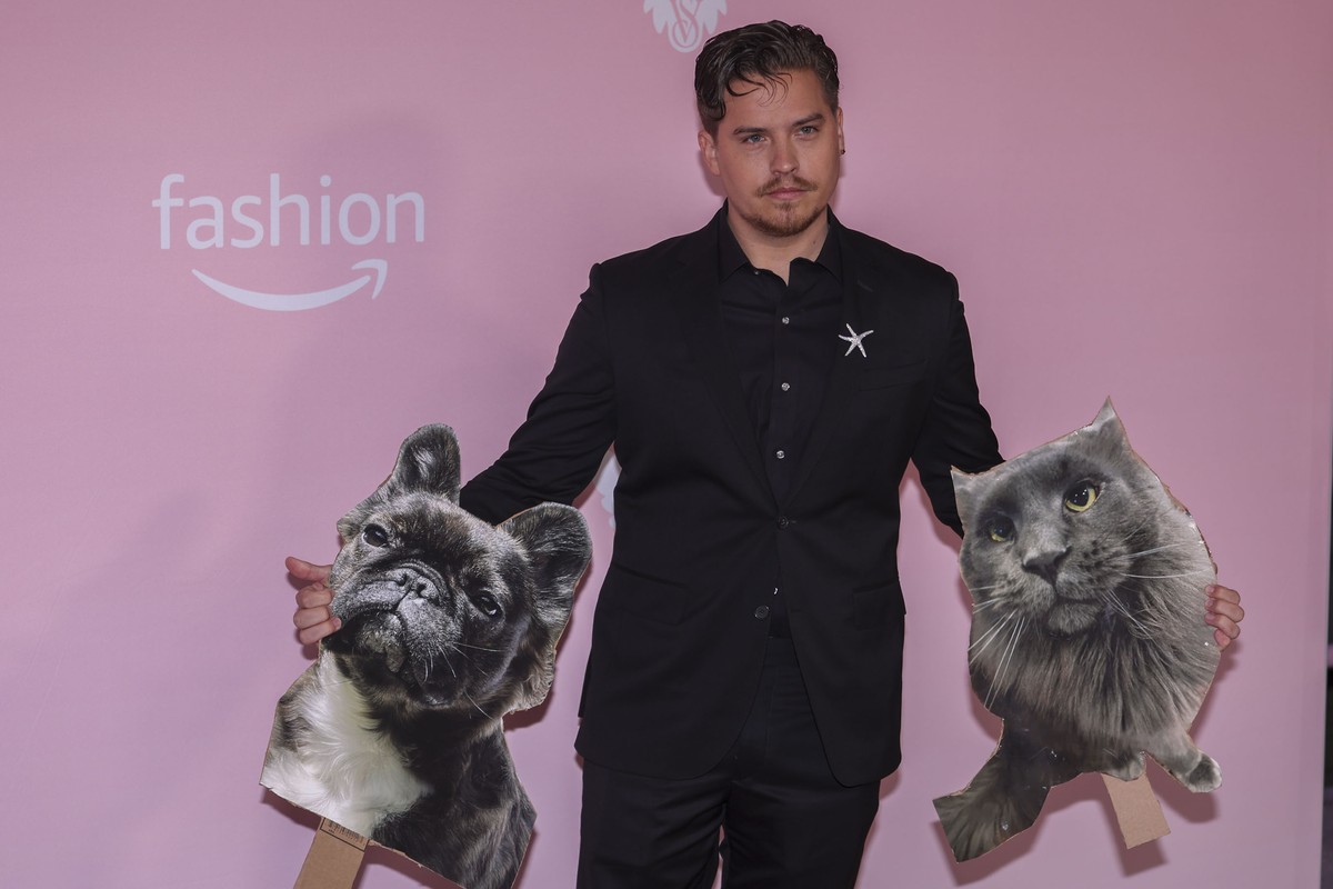 epa11661531 American actor Dylan Sprouse attends the Victoria's Secret Fashion Show pink carpet at the Brooklyn Navy Yard in New York, New York, USA, 15 October 2024. EPA/SARAH YENESEL