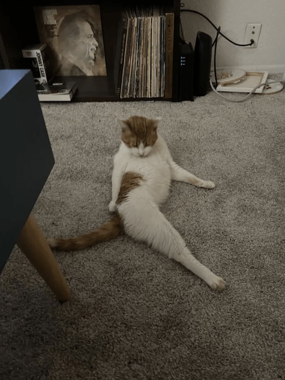 Die lustigsten weissen Beine