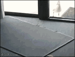 Animiertes GIF
