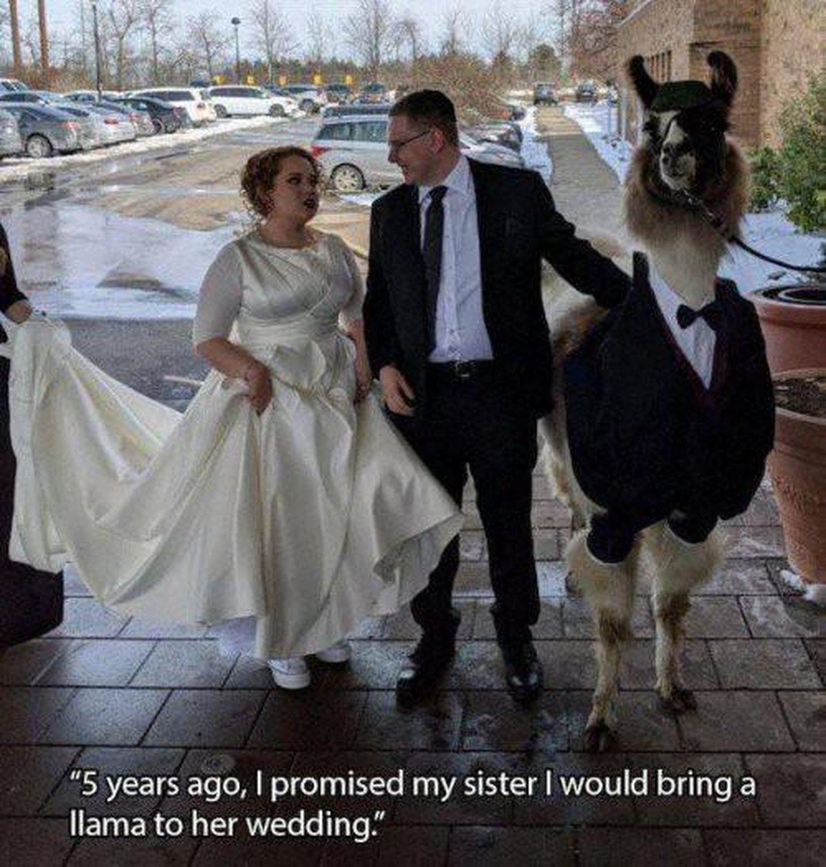 Es ist genau das, wonach es aussieht: PICDUMP.\n#ehrenmann