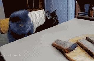 Animiertes GIF