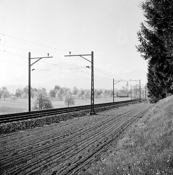 Filling trenches and removing soil next to the track, April 1945. https://www.sbbarchiv.ch/detail.aspx?ID=249460