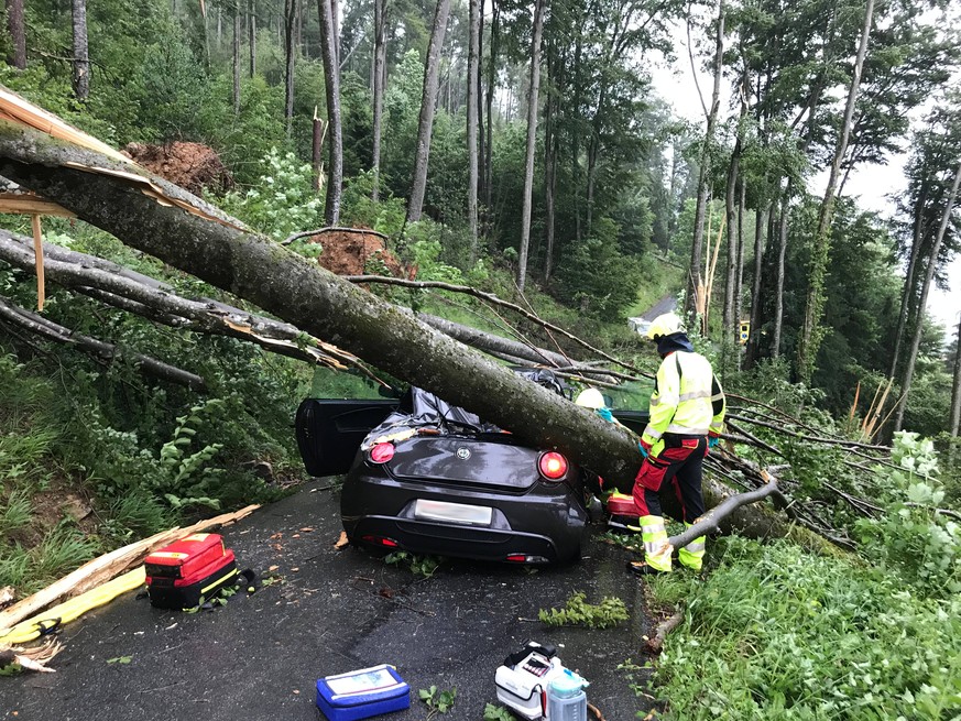 HANDOUT - Am Samstagnachmittag, 06. Juli 2019, zog ein heftiges Gewitter über das Sarneraatal. In mehreren Gemeinden kam es durch umgestuerzte Baeume zu Verkehrsbehinderungen. In Alpnach Dorf wurde ei ...