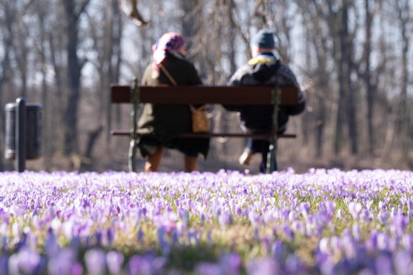 Ein Paar sitzt auf einer Bank vor Blumenmeer. März 2022