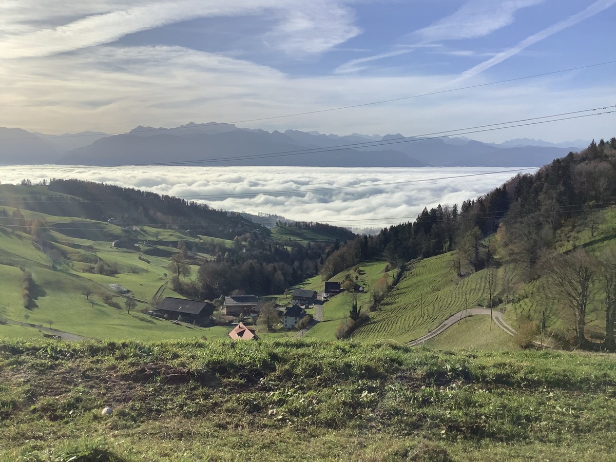 MAZ-Medienwoche Wanderungen Nebel