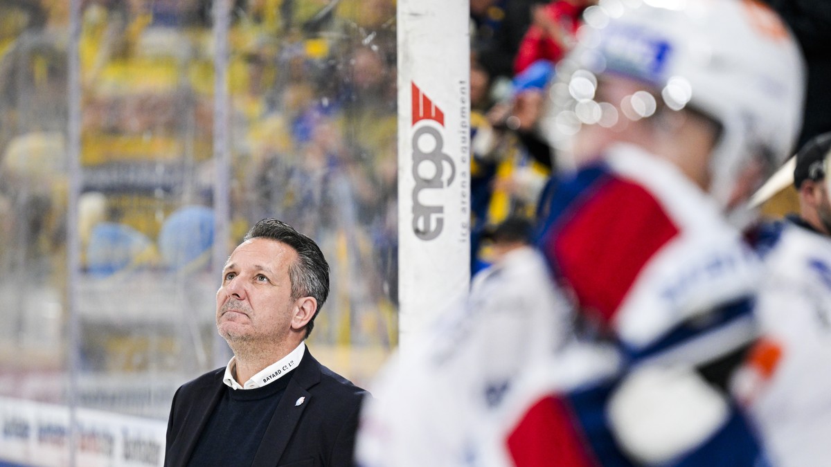 «Mannschaft braucht neue Impulse»: ZSC-Trainer Marco Bayer muss gehen
