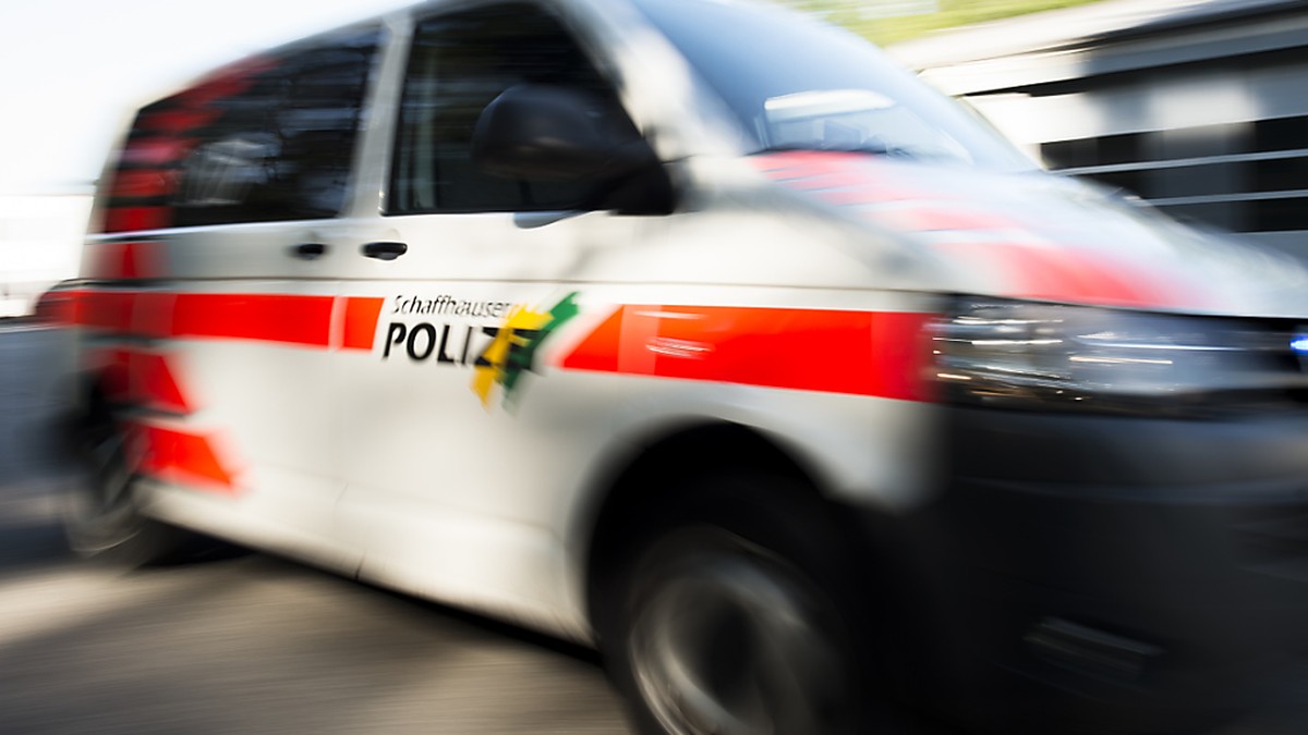 Amok-Fehlalarm-l-st-Polizei-Grosseinsatz-in-Hallau-SH-aus