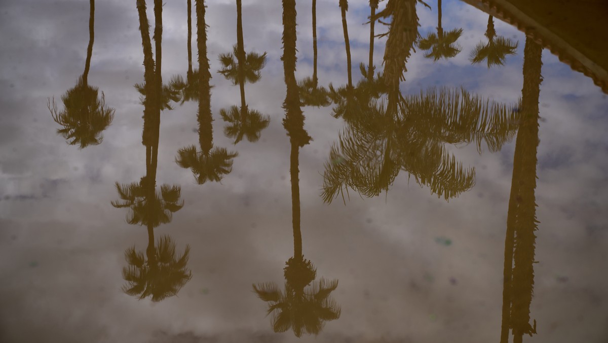 epaselect epa10812097 Palm trees are reflected in flooded water after Tropical Storm Hilary arrived in Palm Springs, California, USA, 21 August 2023. Tropical Storm Hilary swept through Southern Calif ...