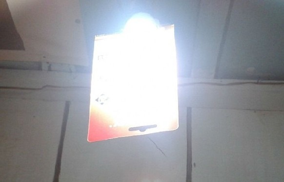 Bild