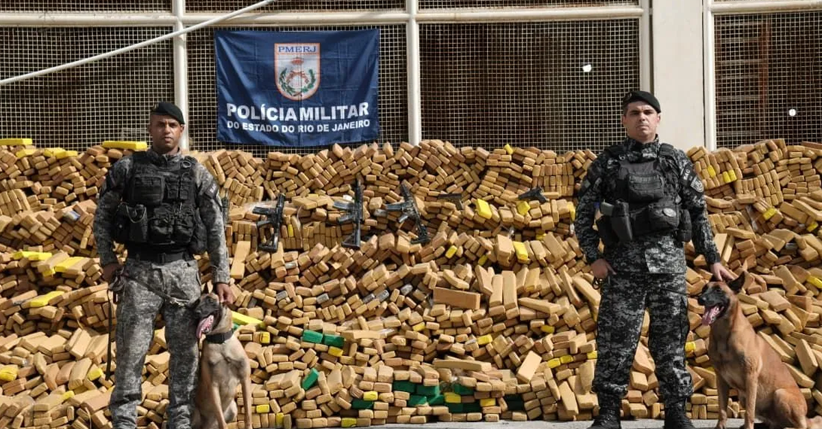 Rekordfund in Rio: Polizei findet dank Spürhunden 50 Tonnen Marihuana